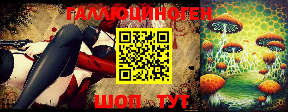 что такое   Вход с VPN  Свободный  Псилоцибиновые грибы Psilocybe 